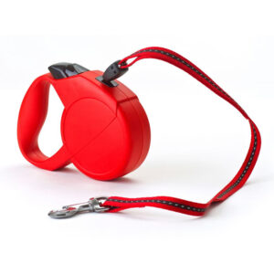 WHISTLE TOY