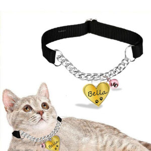 CHAIN FOR CATS
