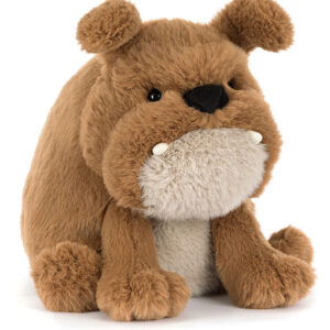 PET TOY