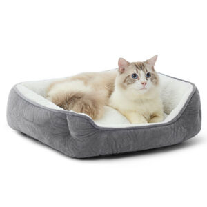 PET SQUARE BED