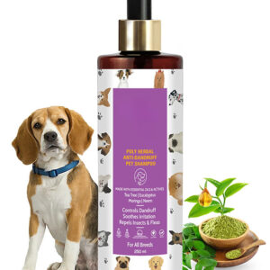 DOG SHAMPOO