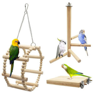BIRD SWING